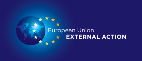 EEAS Learning and Development Platform